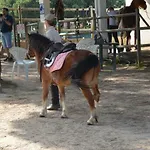 Charming By Intiholidays Lejlighed