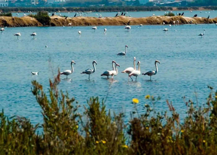 Apartman Charming By Intiholidays