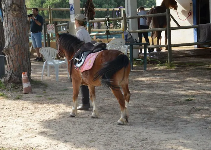 Charming By Intiholidays Apartman