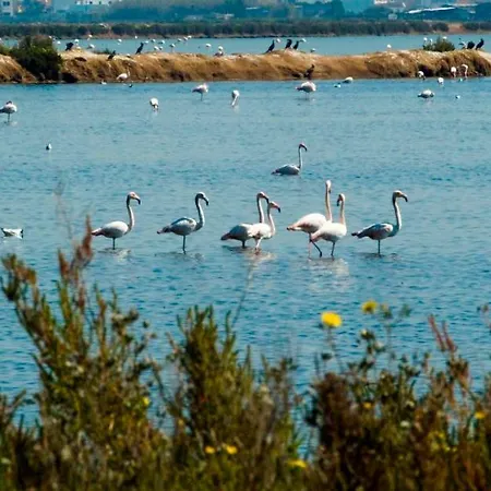 Apartament Charming By Intiholidays