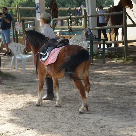 Charming By Intiholidays Apartament